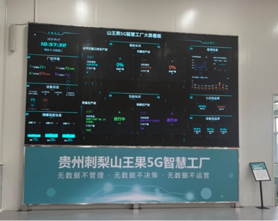 走進(jìn)貴定山王果 開在大山里的數(shù)實融合之花